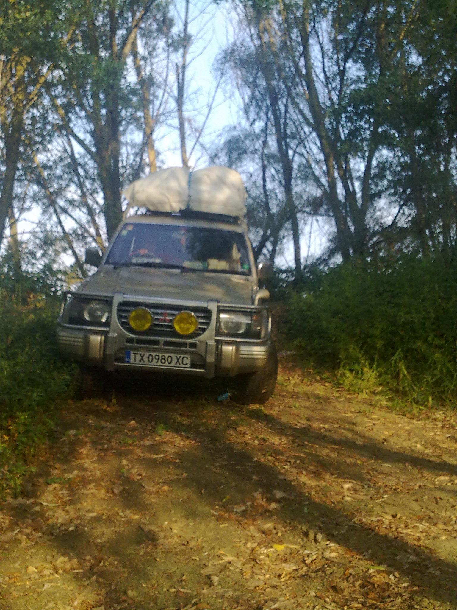 De prin delta adunate - 04092011254.jpg